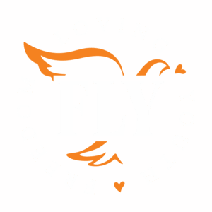 FLY logo